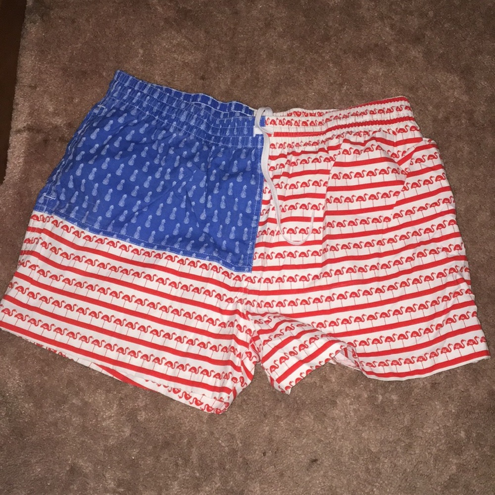 Flamingo and Pineapple Chubbies American Flag Swim